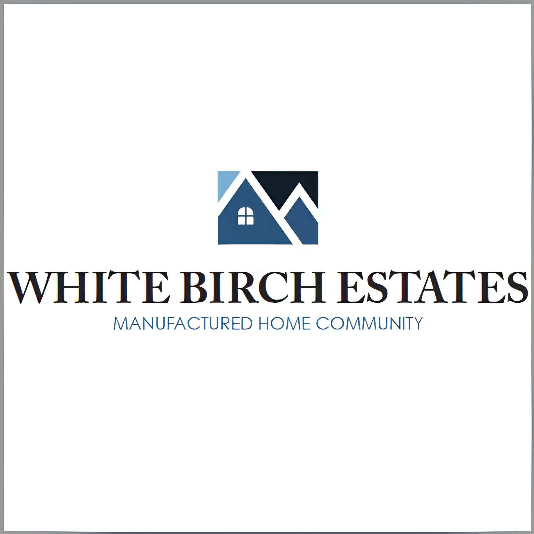 White Birch