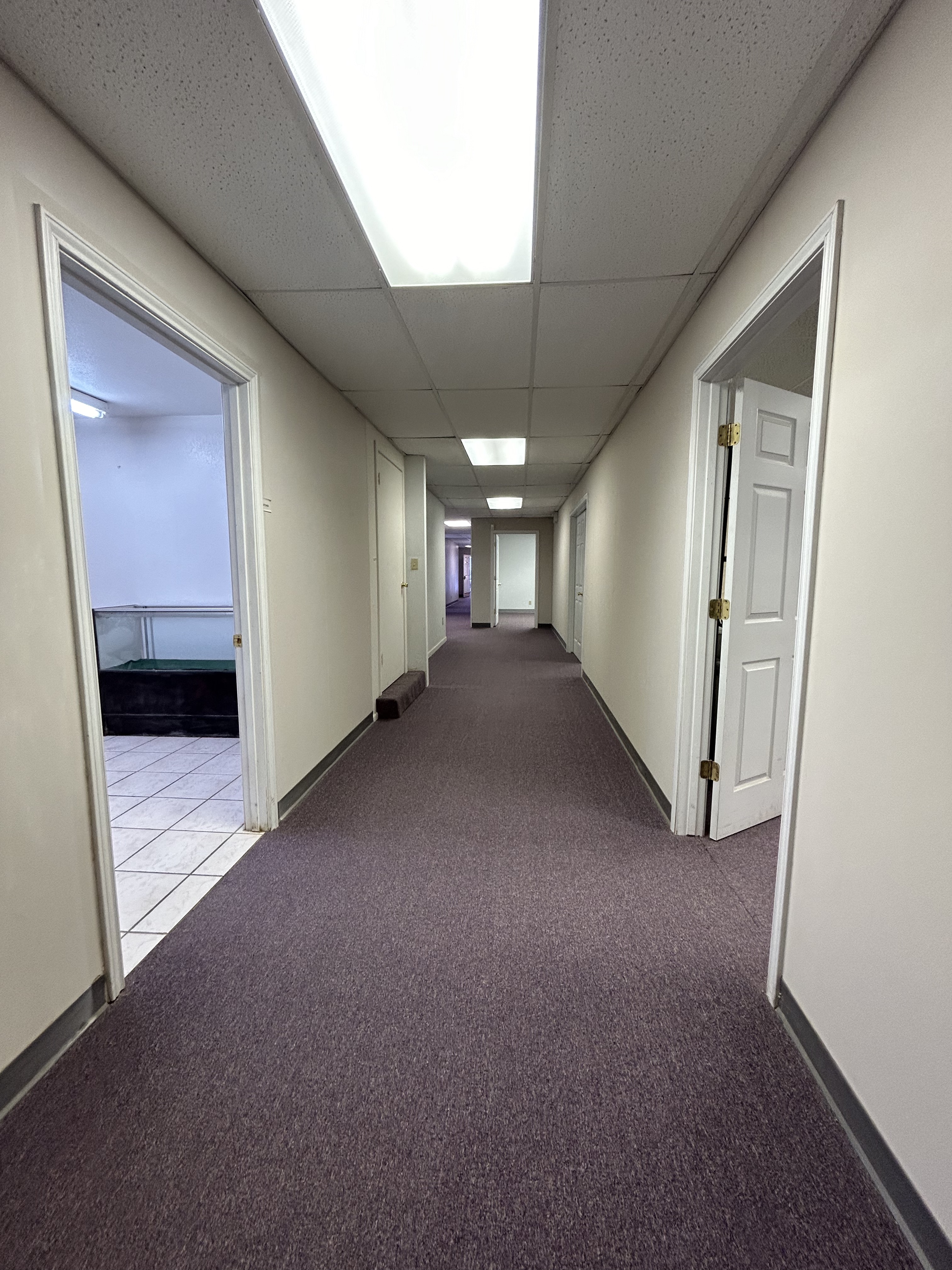 401 N Nelson, 401 North Nelson Street, Fort Stockton, TX 79735