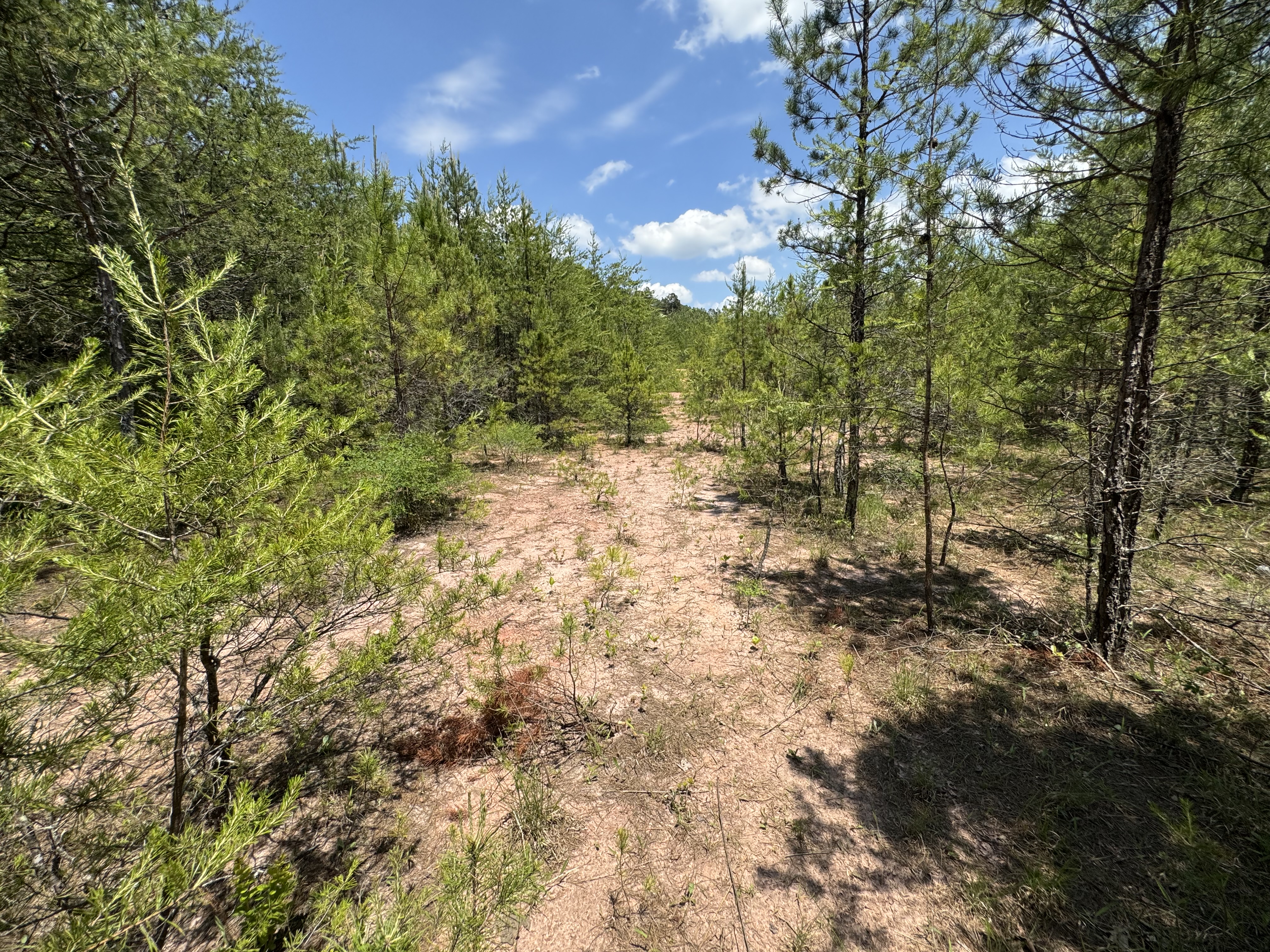 2.78 Acres Hwy 64 West, Murphy, NC, Clonts, Murphy, NC 28906