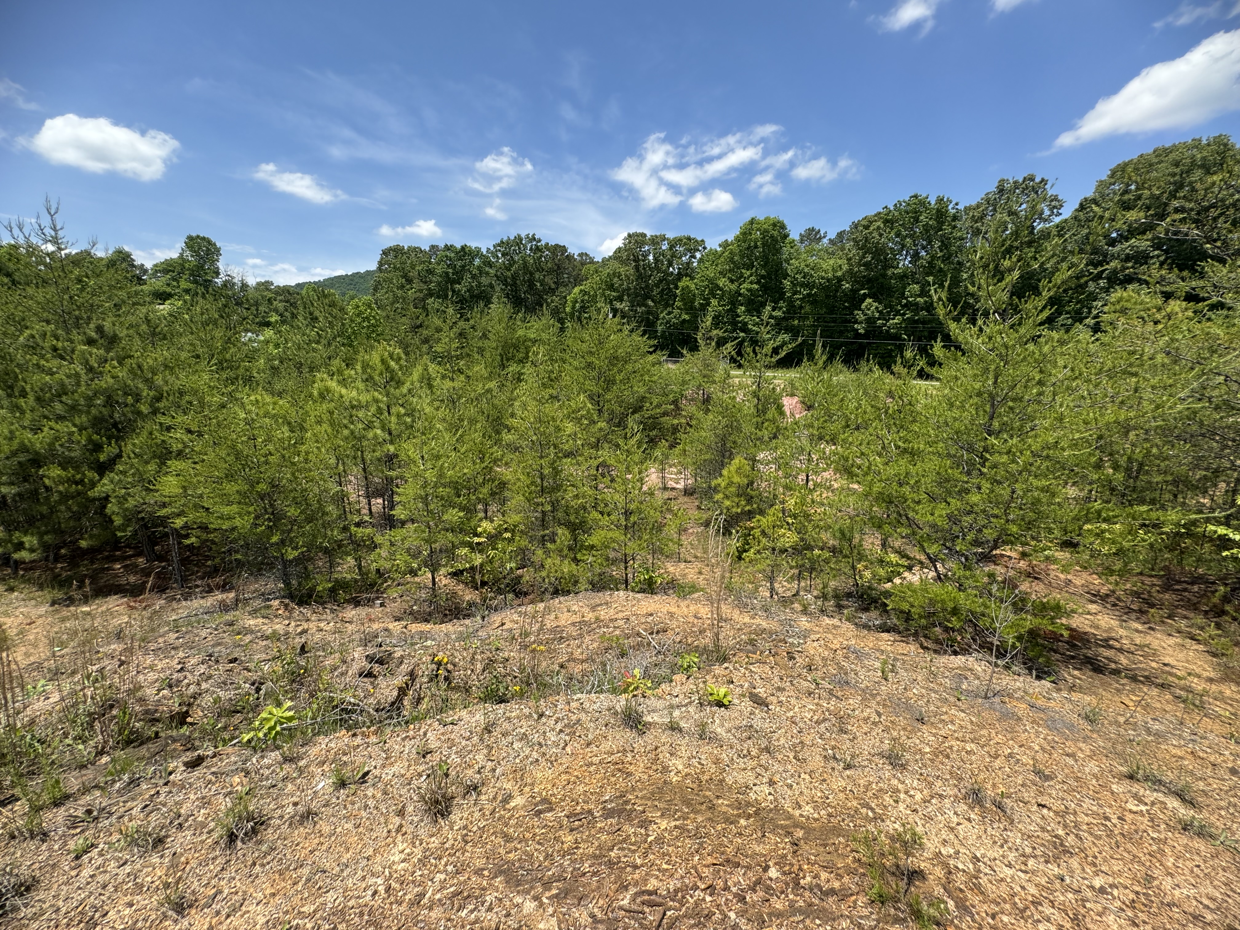 2.78 Acres Hwy 64 West, Murphy, NC, Clonts, Murphy, NC 28906