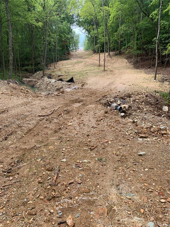 62 acres in Hillsboro MO, Hillsboro, MO 63050