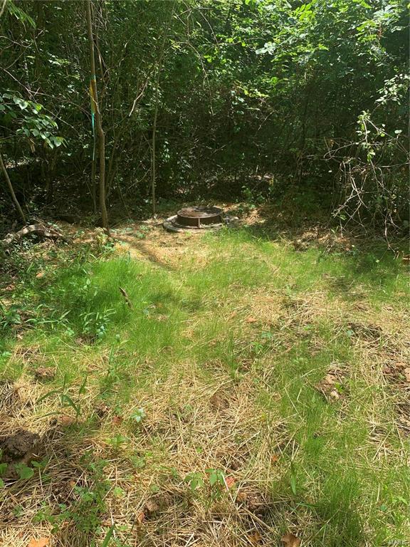 62 acres in Hillsboro MO, Hillsboro, MO 63050