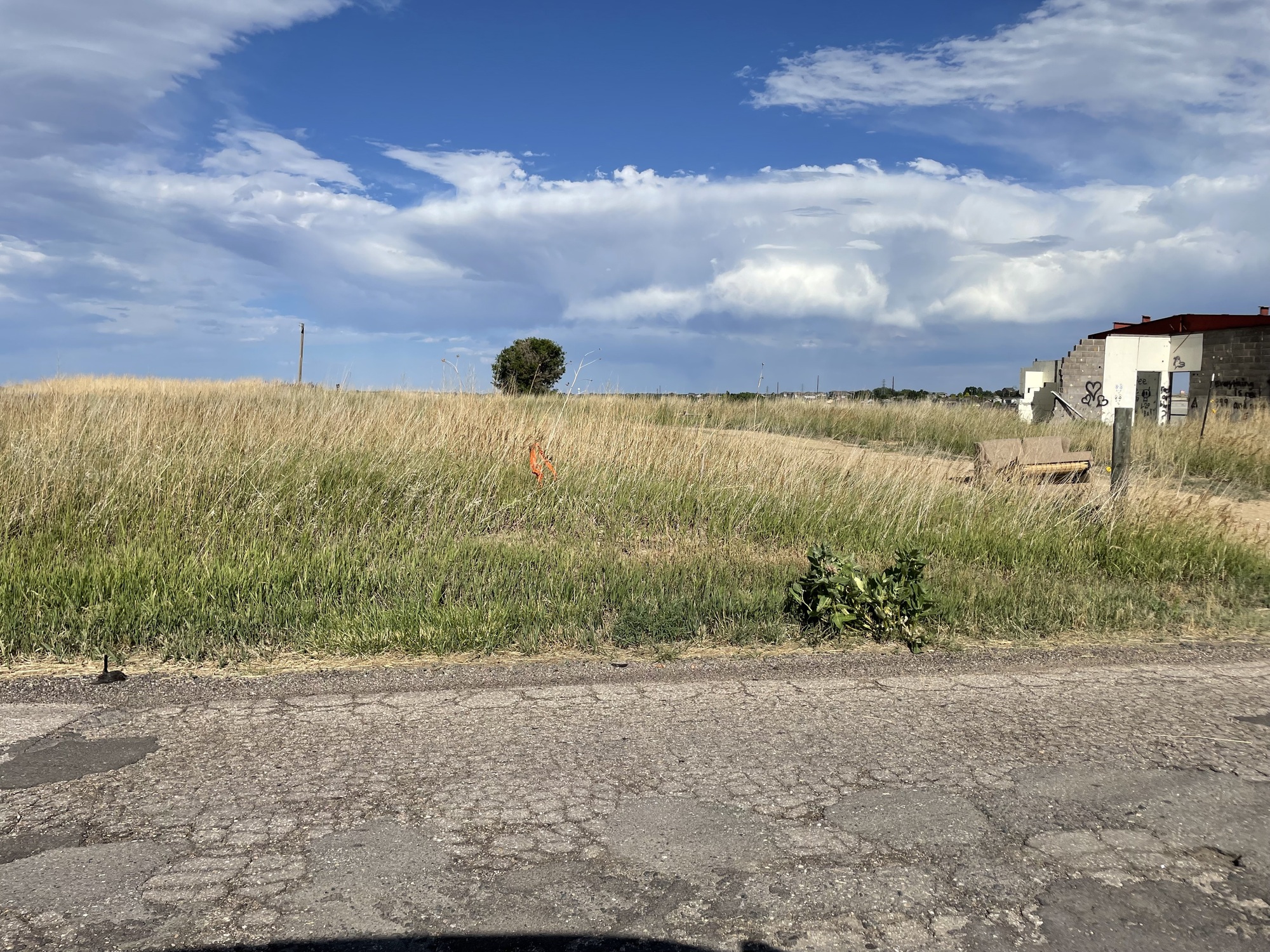 1718 95th Ave, 1718 95th Avenue, Greeley, CO 80634