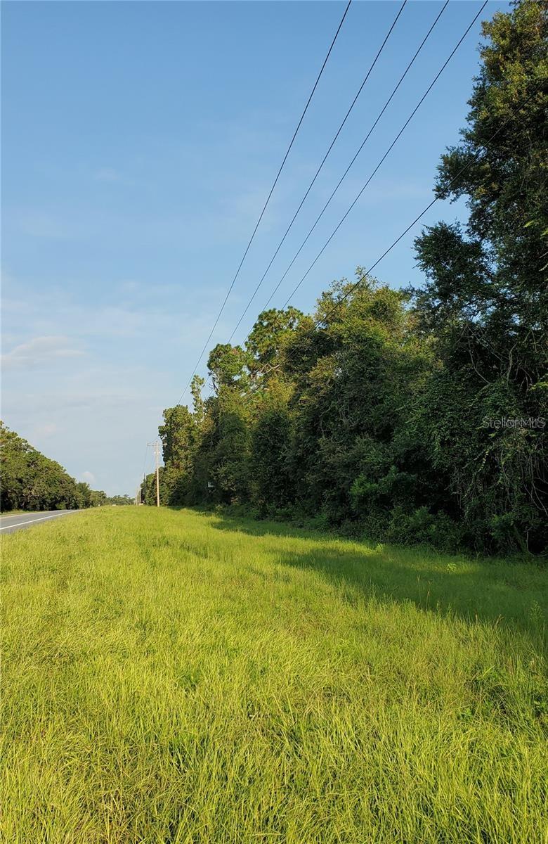 Commercial Land in Silver Springs, Florida 40, Silver Springs, FL