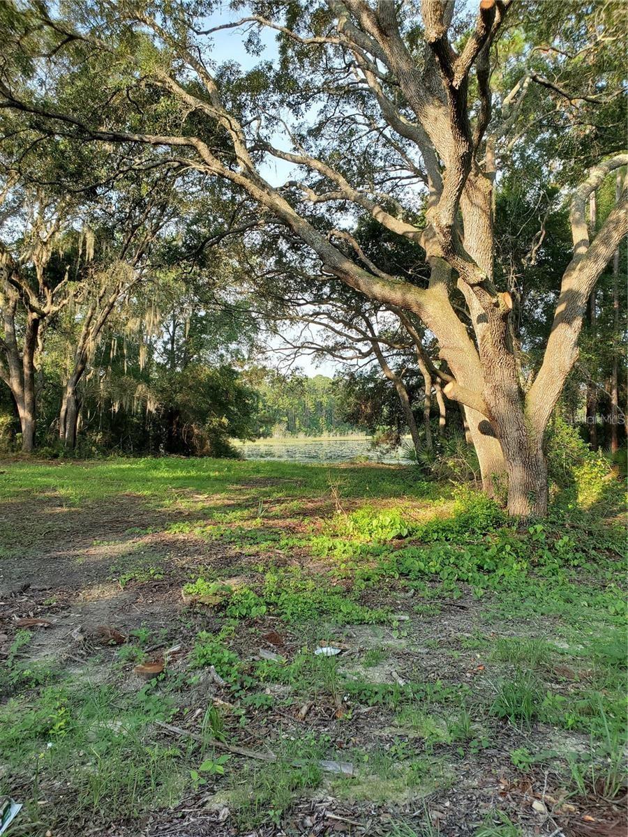 Commercial Land in Silver Springs, Florida 40, Silver Springs, FL