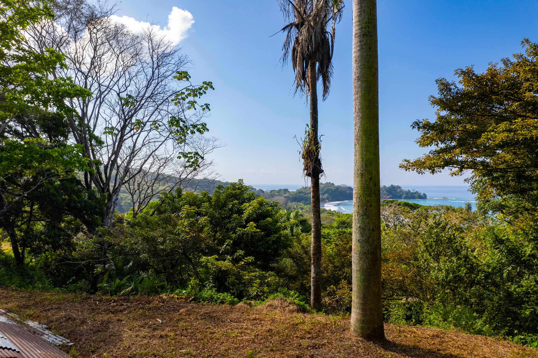One of a kind Ocean View Commercial Walk to beach Property