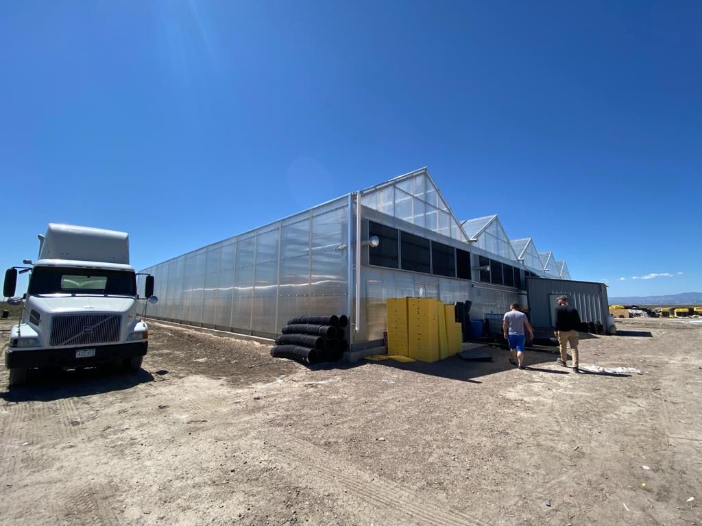 Cannabis Grow Farm near Healdton