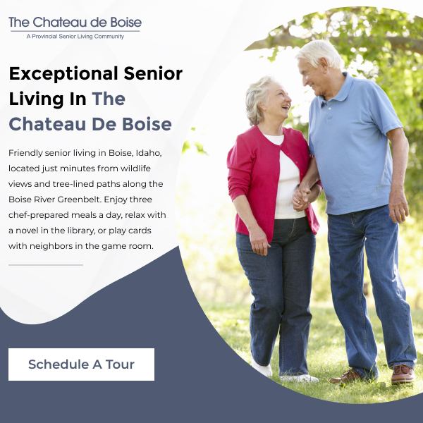 The Chateau de Boise