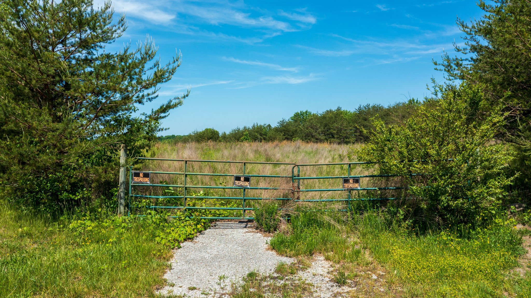 Claude Terry Drive, Claude Terry Drive, Oneida, TN 37841