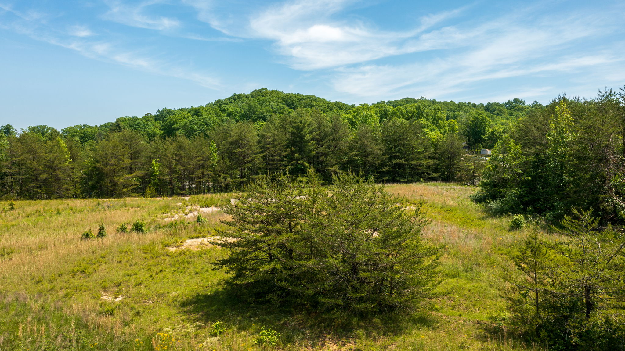 Claude Terry Drive, Claude Terry Drive, Oneida, TN 37841