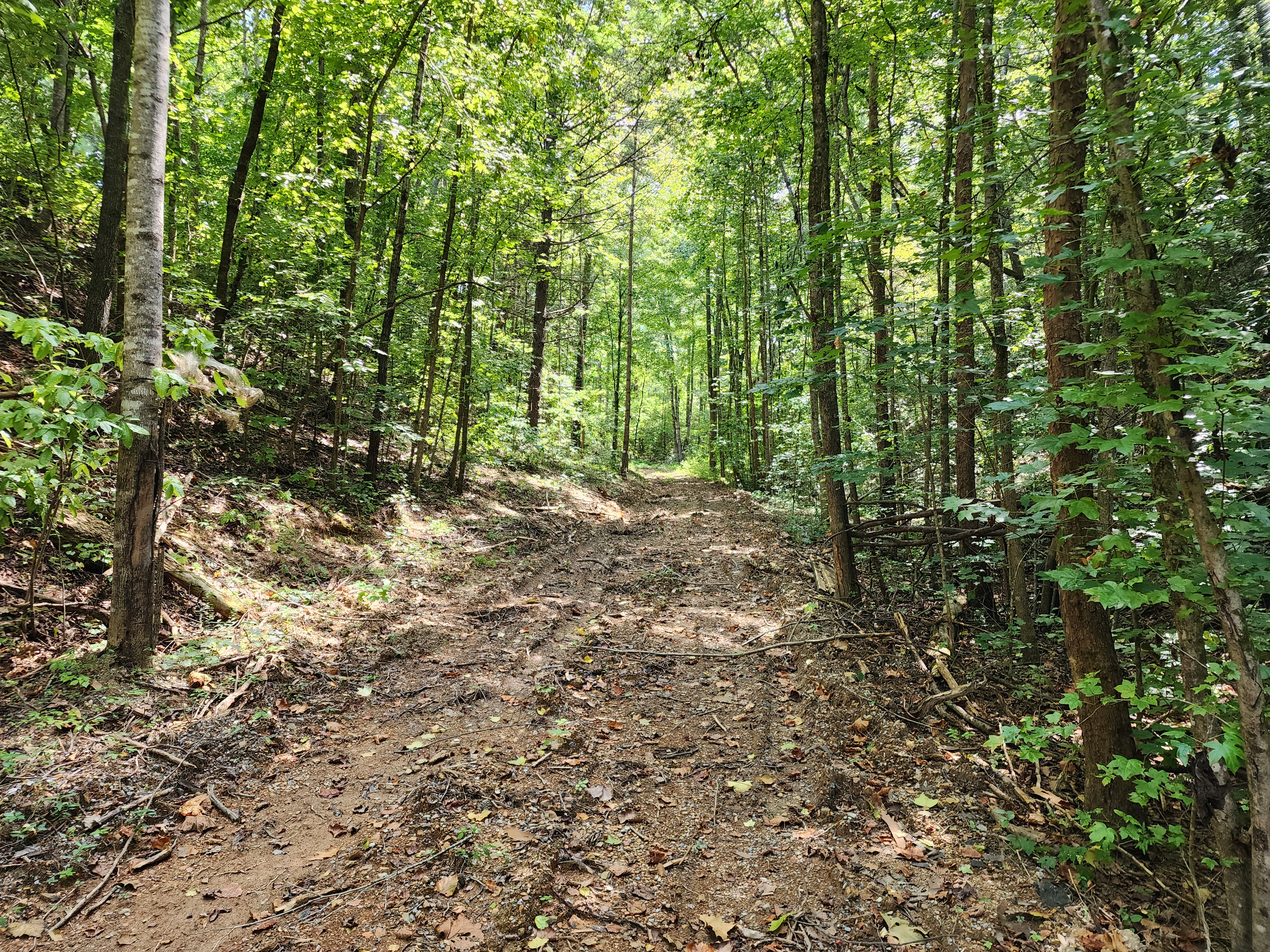 Excellent Development Opportunity, McMahan Road, Pigeon Forge, TN 37863
