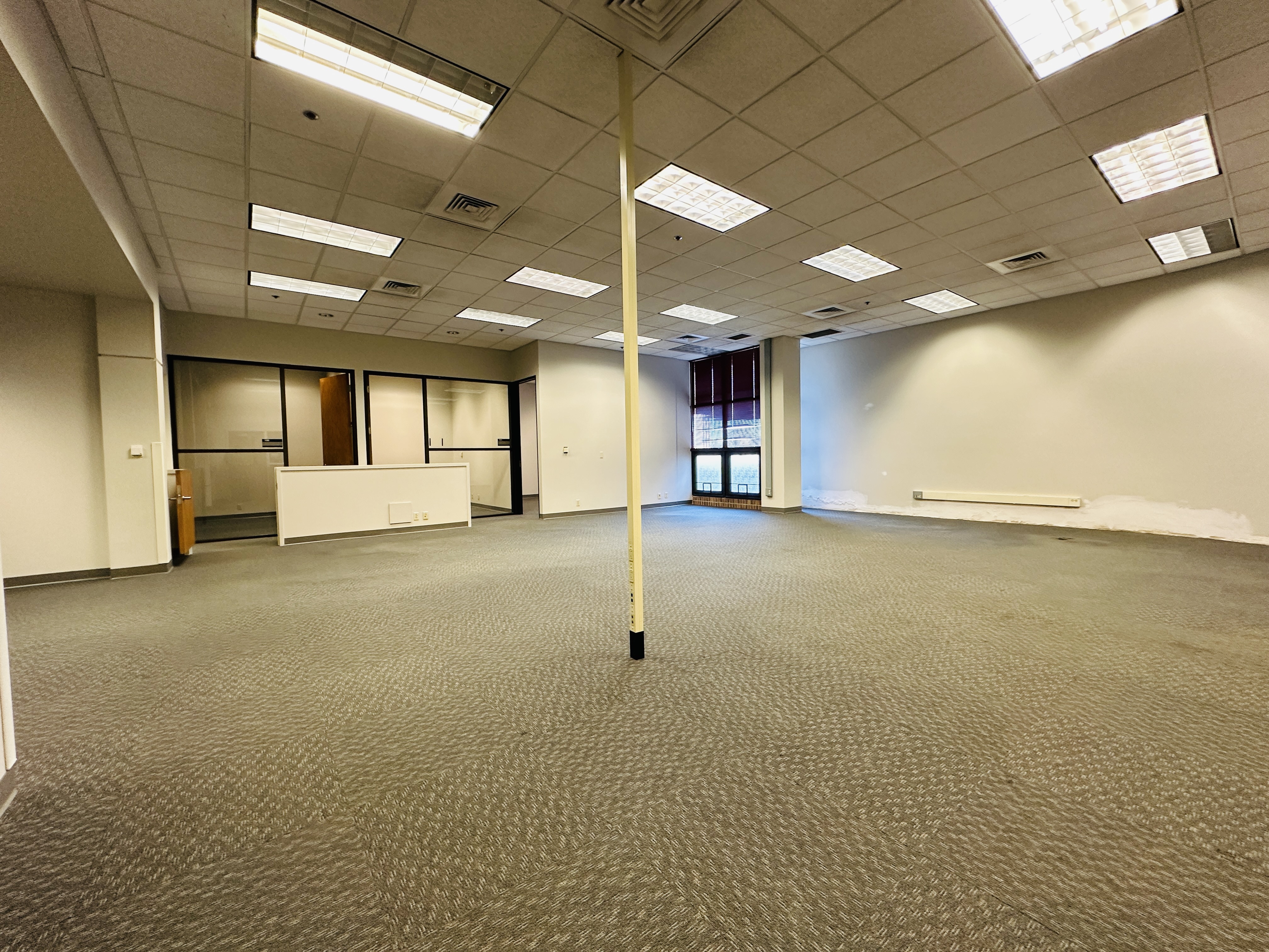 113 SW Adams Street, 113 SW ADAMS Street, Peoria, IL 61602