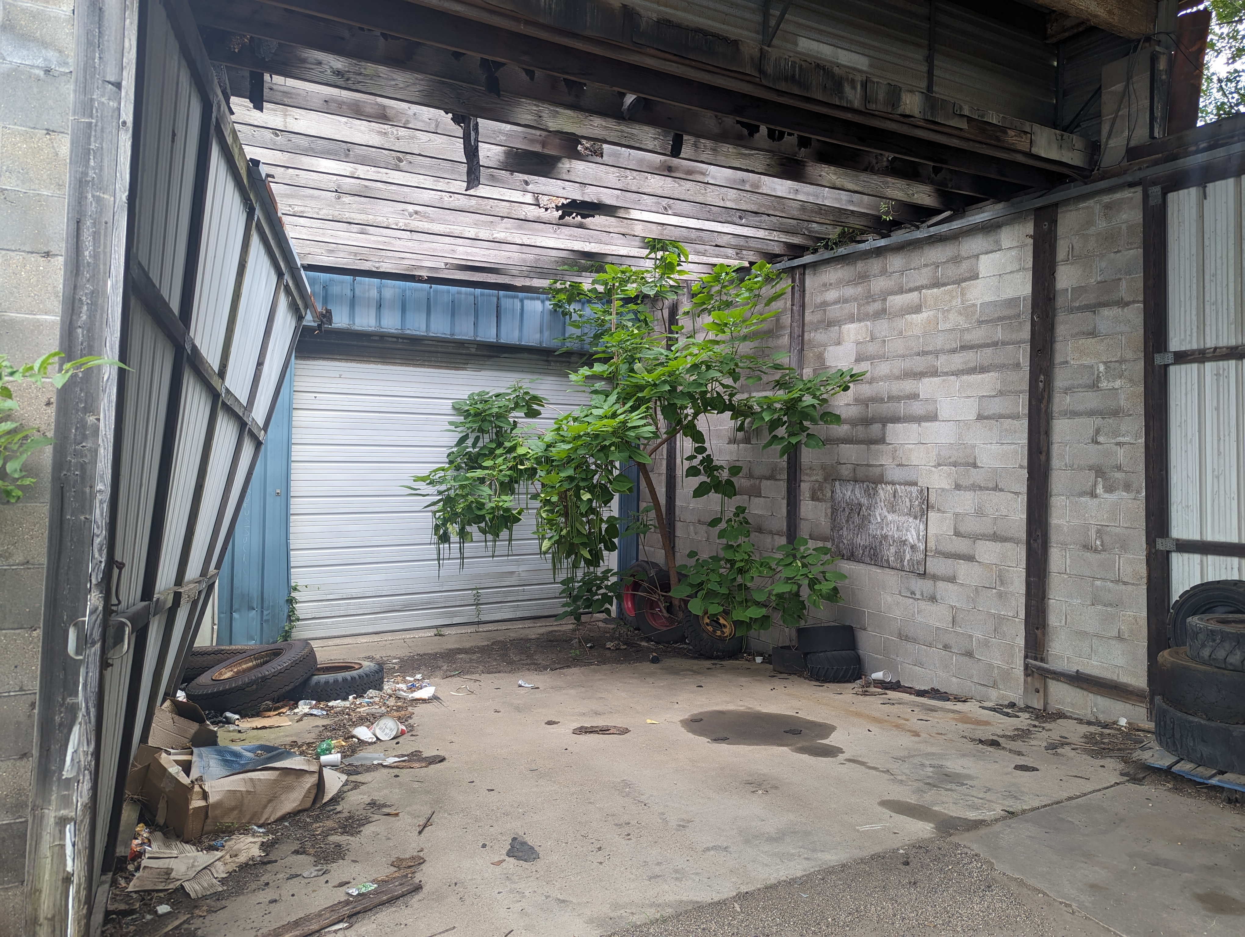 310 Edmund Street, 310 Edmund St, Peoria, IL 61605