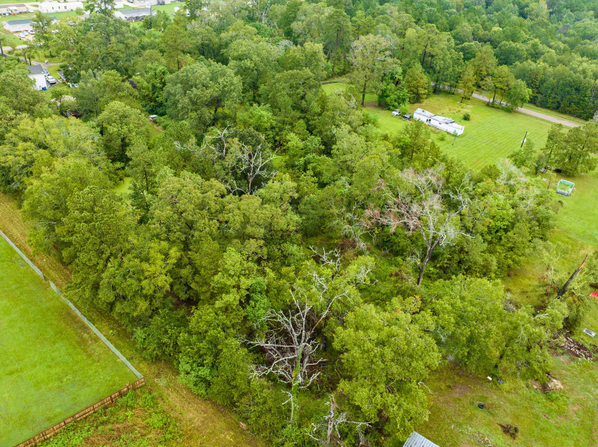 15552 Schank Rd, Conroe, TX 77306, 15552 Schank Road, Conroe, TX 77306