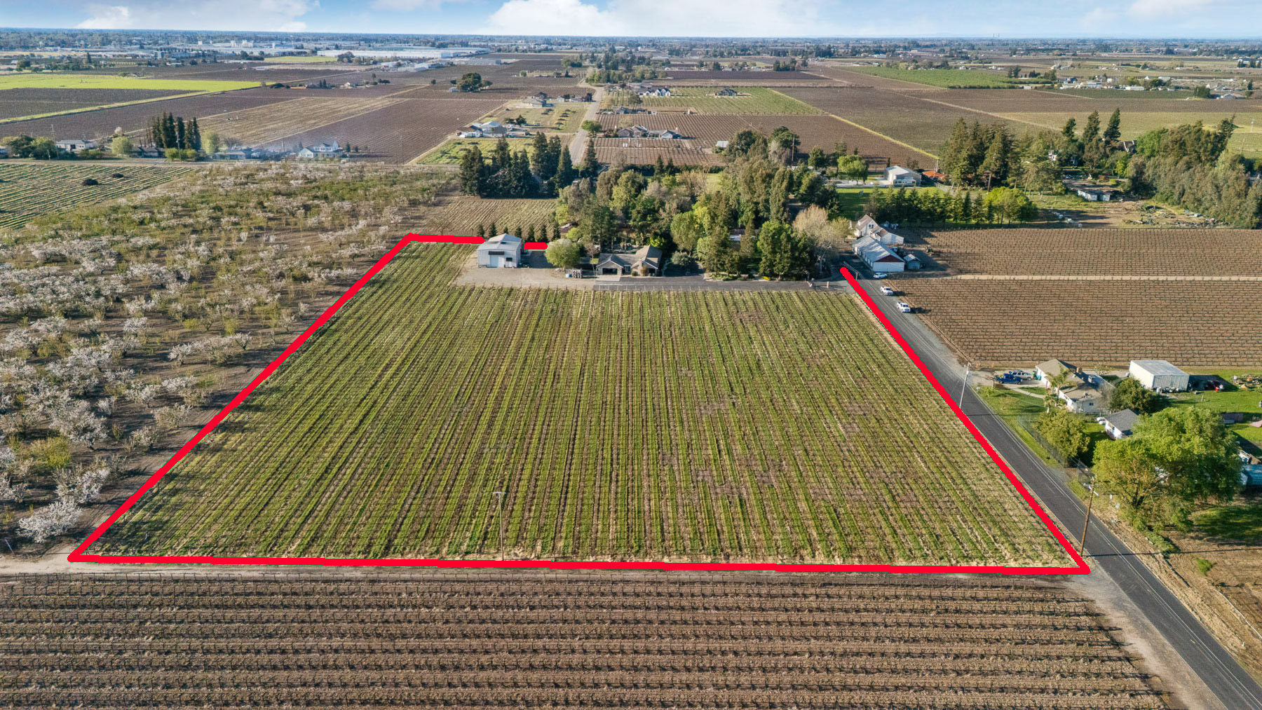 Lodi Estate Winery, 13299 Curry Avenue, Lodi, CA 95240