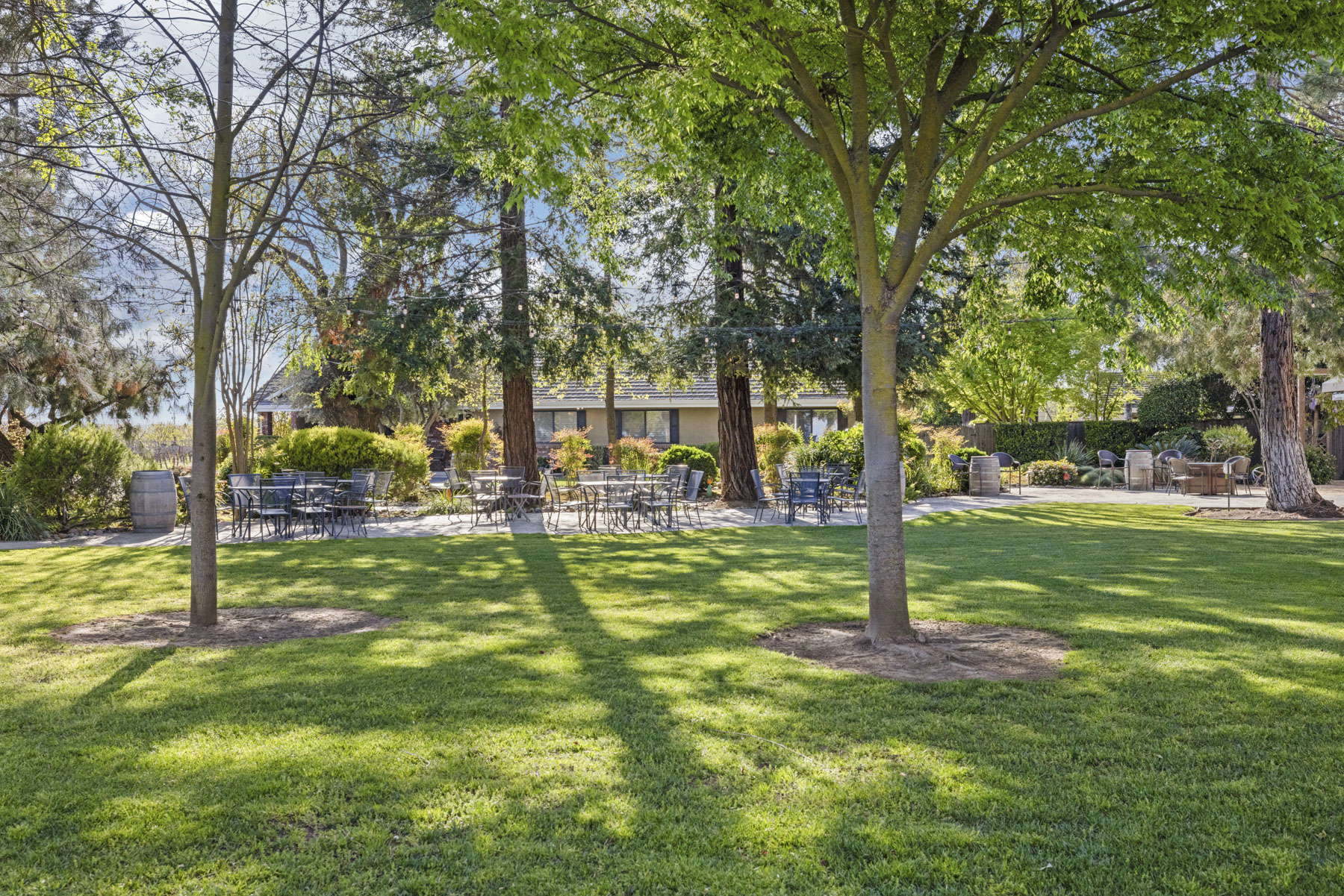 Lodi Estate Winery, 13299 Curry Avenue, Lodi, CA 95240