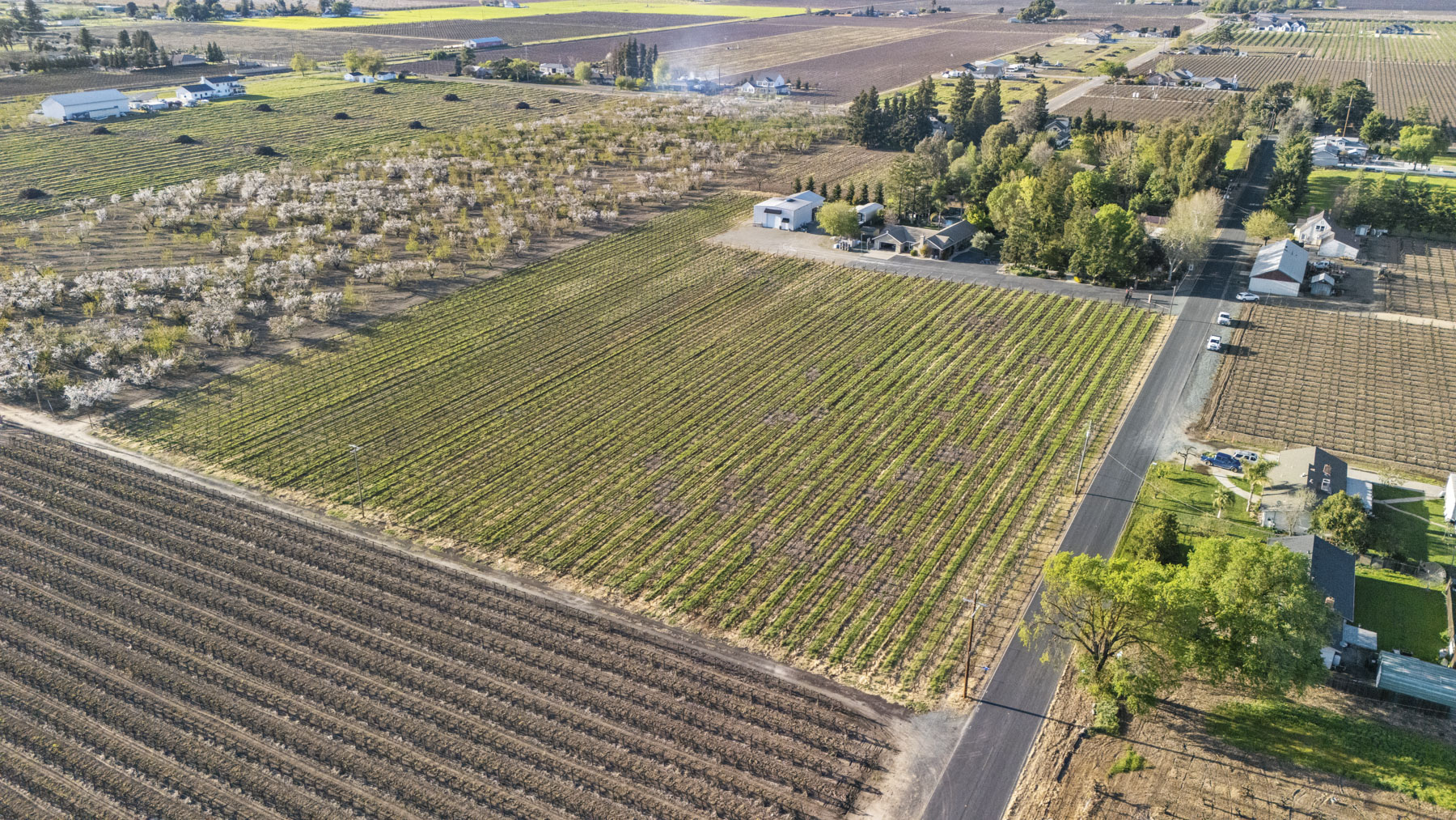 Lodi Estate Winery, 13299 Curry Avenue, Lodi, CA 95240
