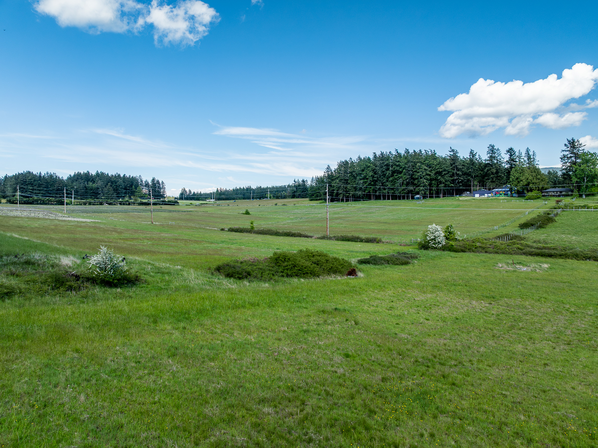 OrcaSong Farm, 280 Dolphin Bay Road, Eastsound, WA 98245