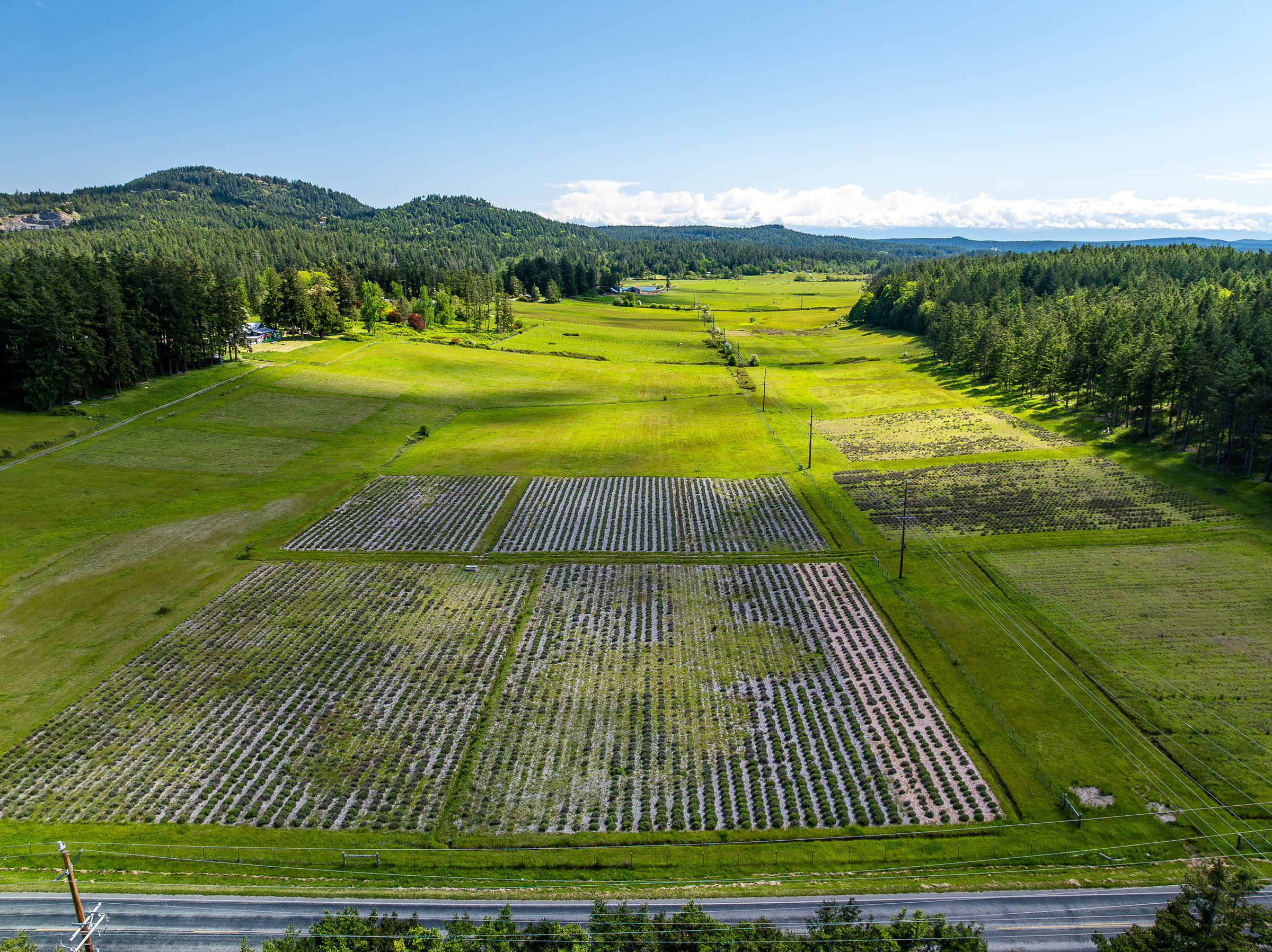 OrcaSong Farm, 280 Dolphin Bay Road, Eastsound, WA 98245