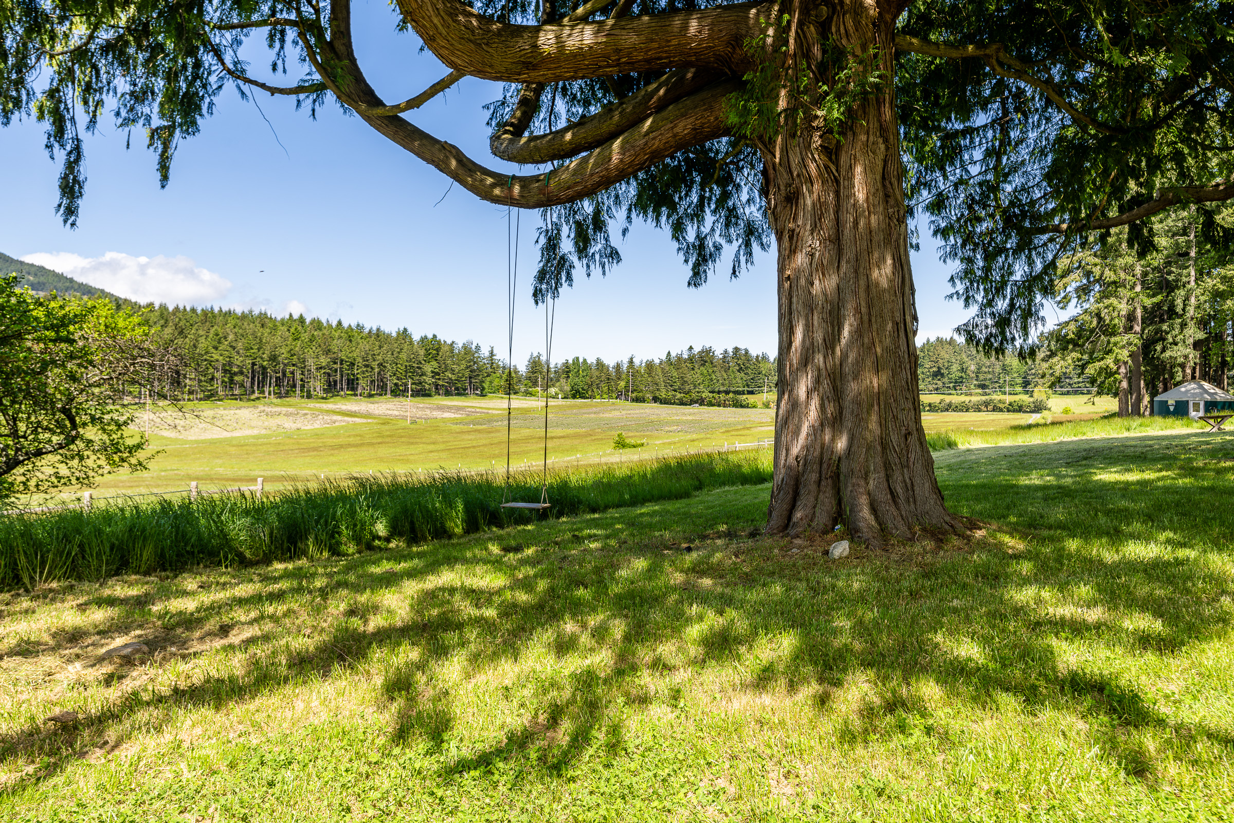 OrcaSong Farm, 280 Dolphin Bay Road, Eastsound, WA 98245