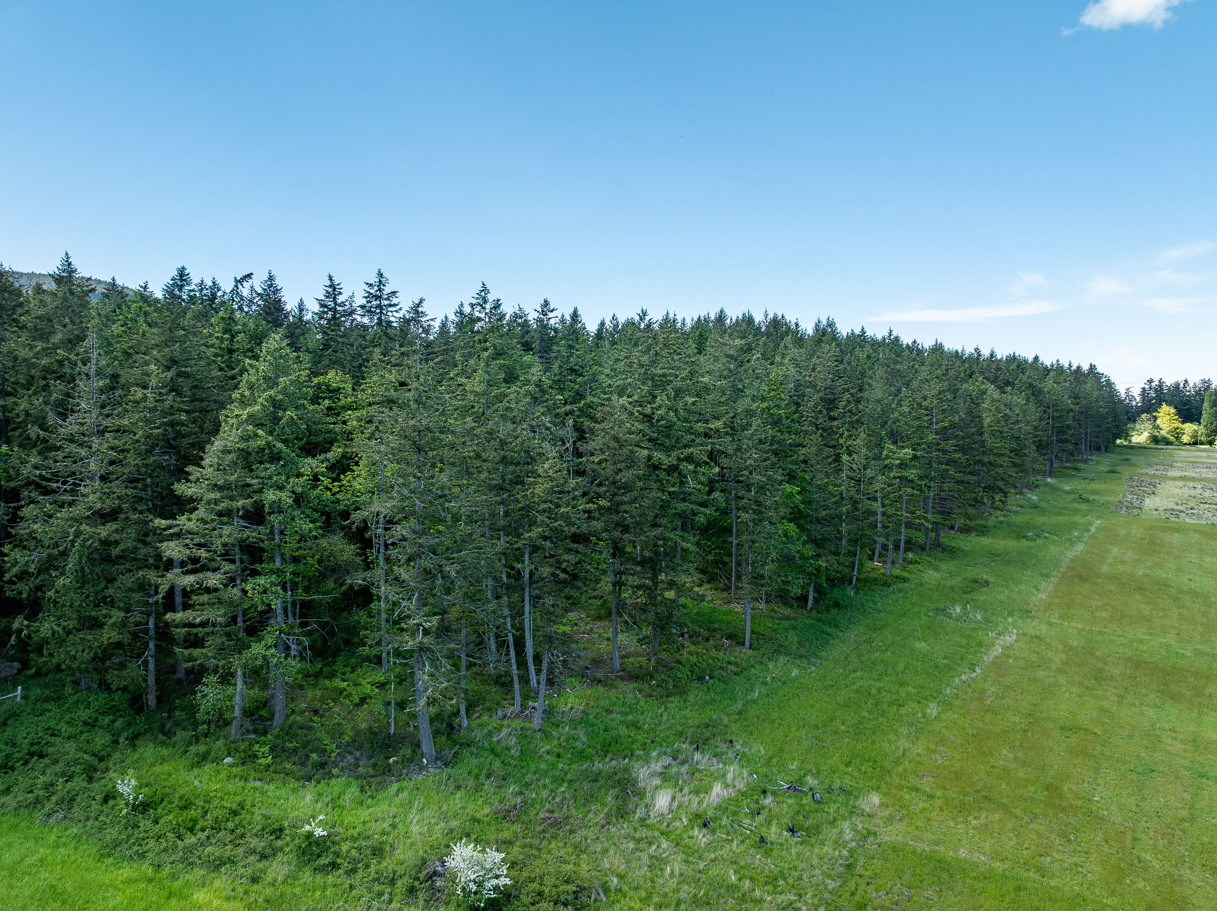 OrcaSong Farm, 280 Dolphin Bay Road, Eastsound, WA 98245