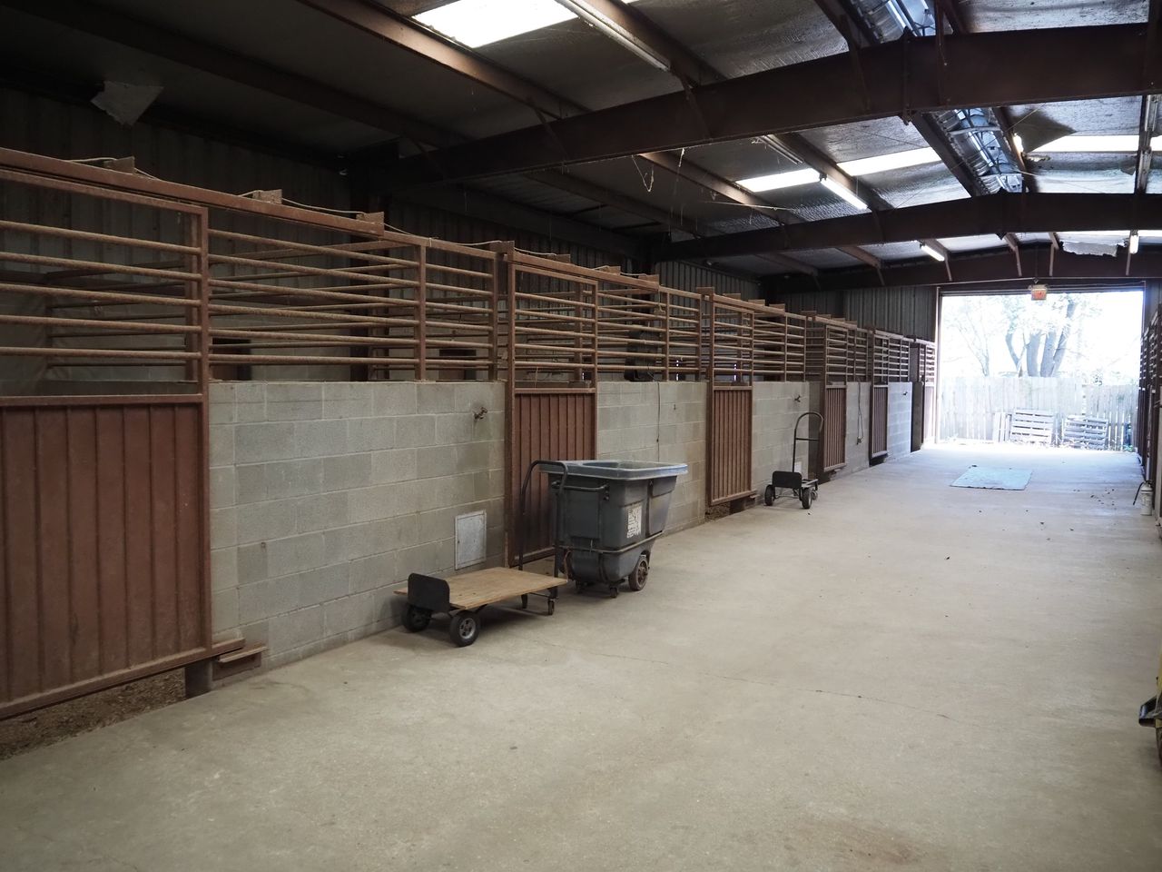 Magnolia Equestrian Center, 1721 Gen Collins Avenue, New Orleans, LA 70114