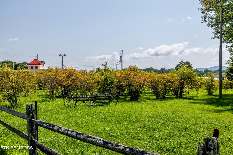 Prime Income-Producing Blueberry Farm & Residence, 111 Harmon Road, Maryville, TN 37804