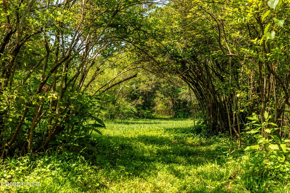 Prime Income-Producing Blueberry Farm & Residence, 111 Harmon Road, Maryville, TN 37804