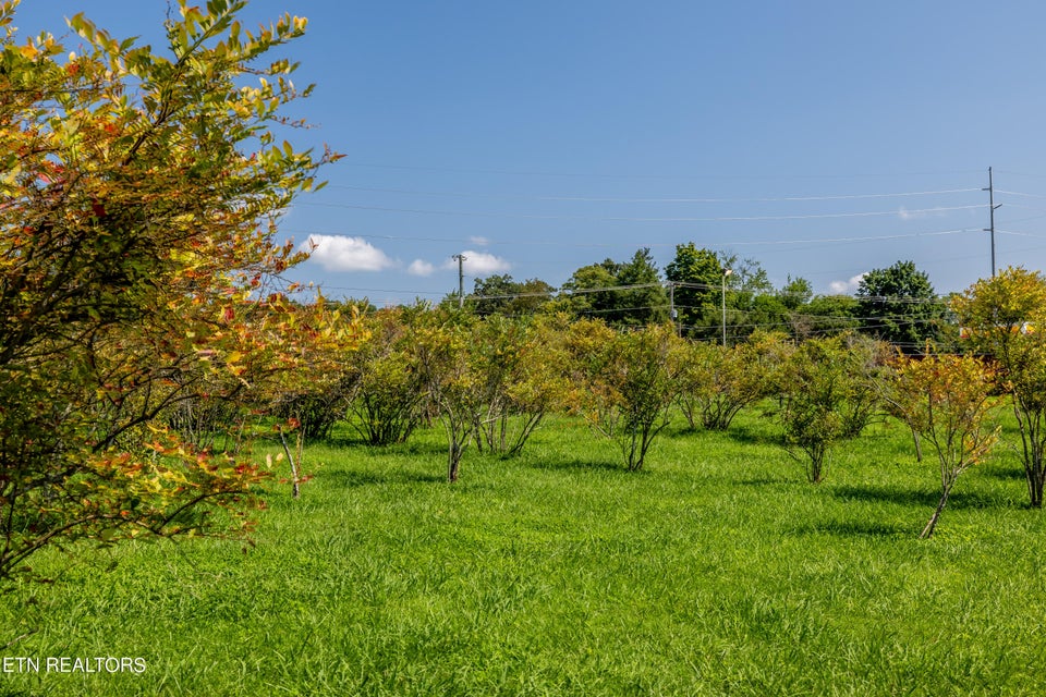 Prime Income-Producing Blueberry Farm & Residence, 111 Harmon Road, Maryville, TN 37804