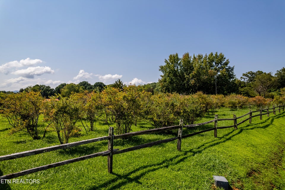Prime Income-Producing Blueberry Farm & Residence, 111 Harmon Road, Maryville, TN 37804