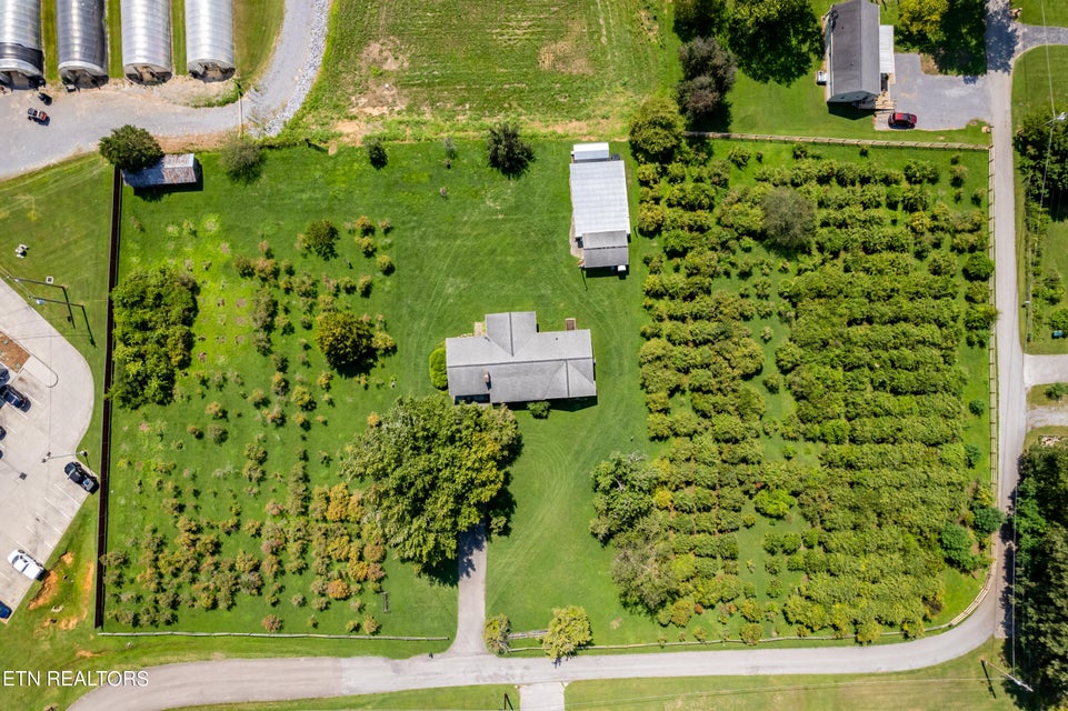 Prime Income-Producing Blueberry Farm & Residence, 111 Harmon Road, Maryville, TN 37804
