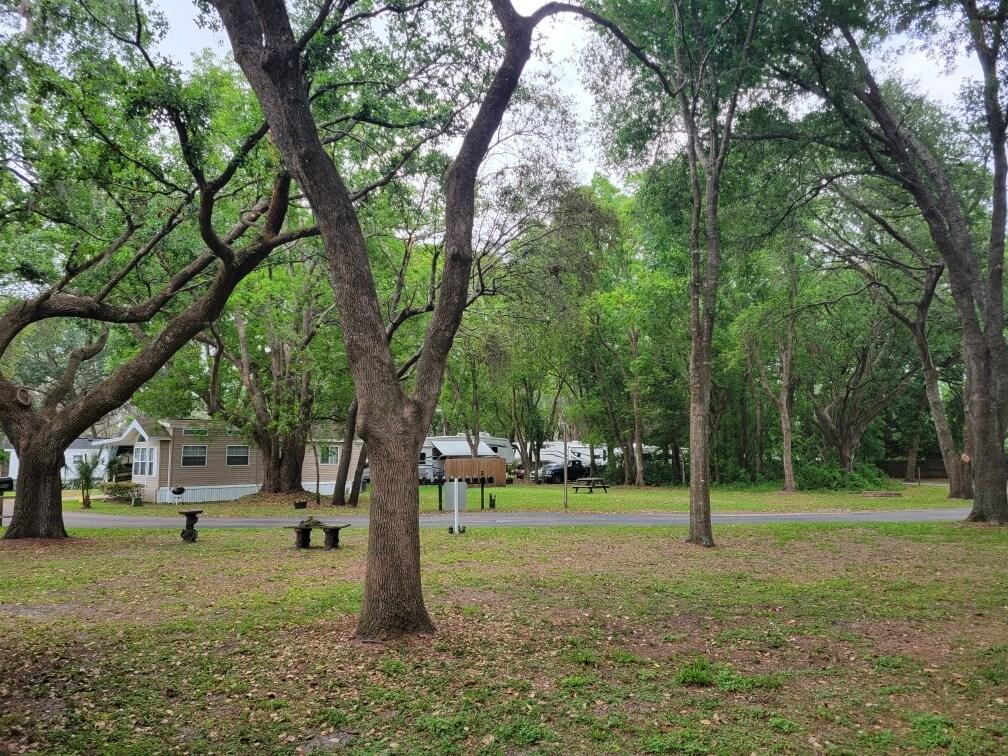 Rare 7.5 acre Multi-Use Investment Property, 4045-4049 Allen Road, Zephyrhills, FL 33541