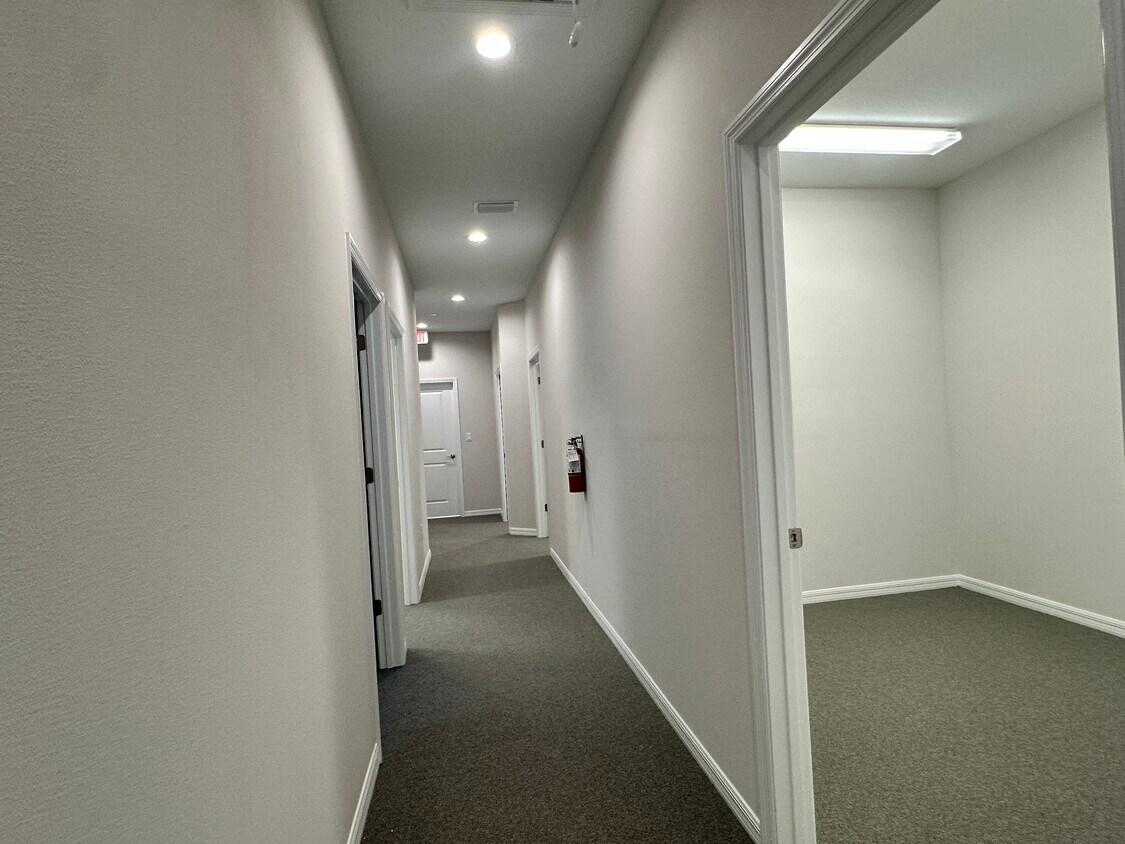 Brand-New Turn-Key Office in Lutz, 2980 Allegra Way, Lutz, FL 33559