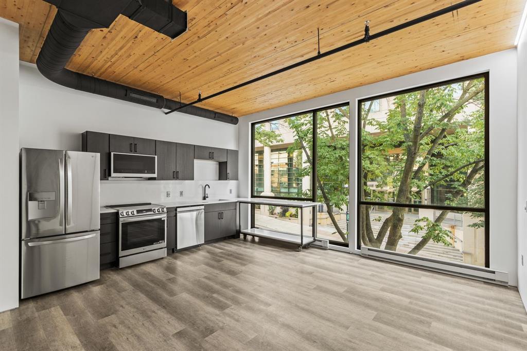 Luminous Live Work Live Condominiums II, 214 South Hamilton Street, Madison, WI 53703
