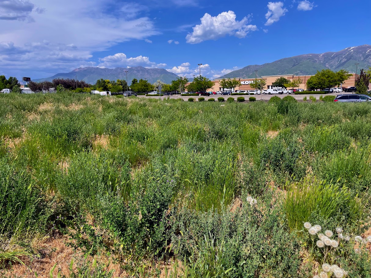 1366 N Main St, 1366 North Main Street, Layton, UT 84041