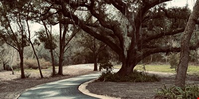 Executive Homesite - 4.19 Acres, Florida