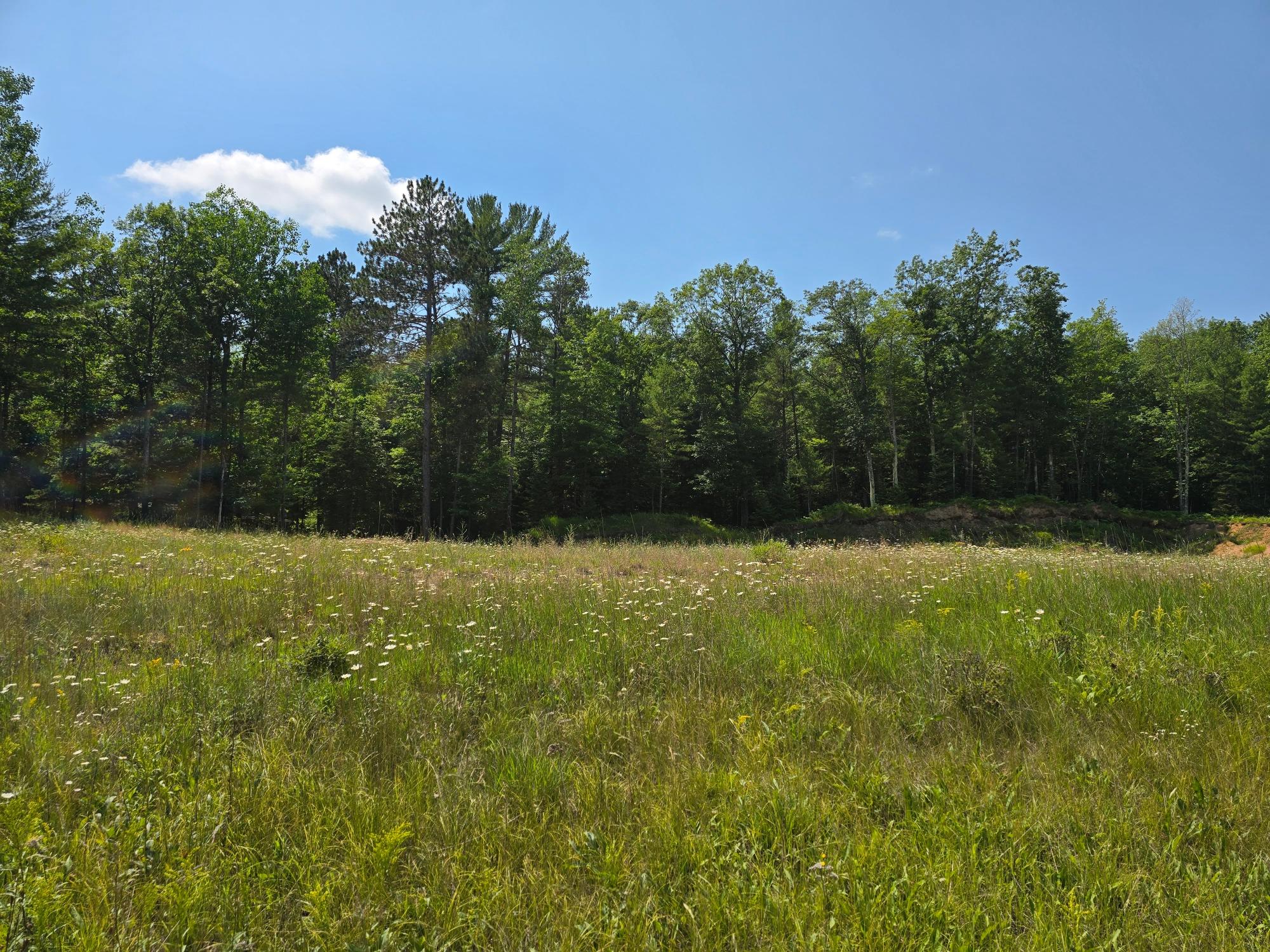 Arbor Vitae Land, Woodruff, WI 54568
