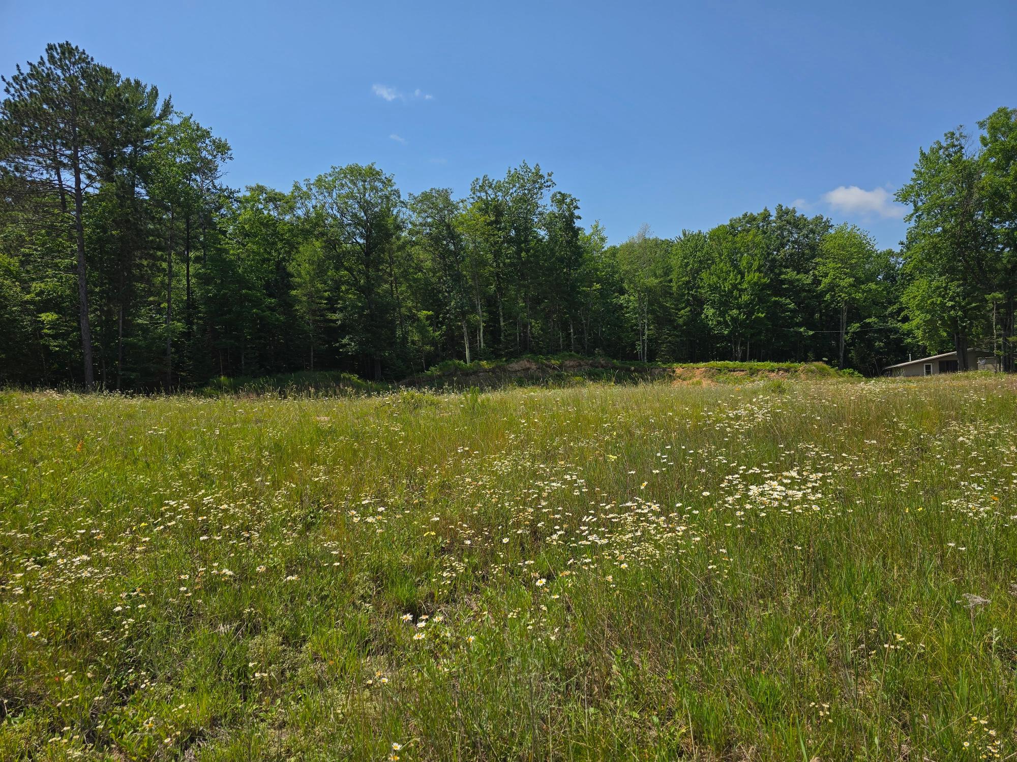 Arbor Vitae Land, Woodruff, WI 54568