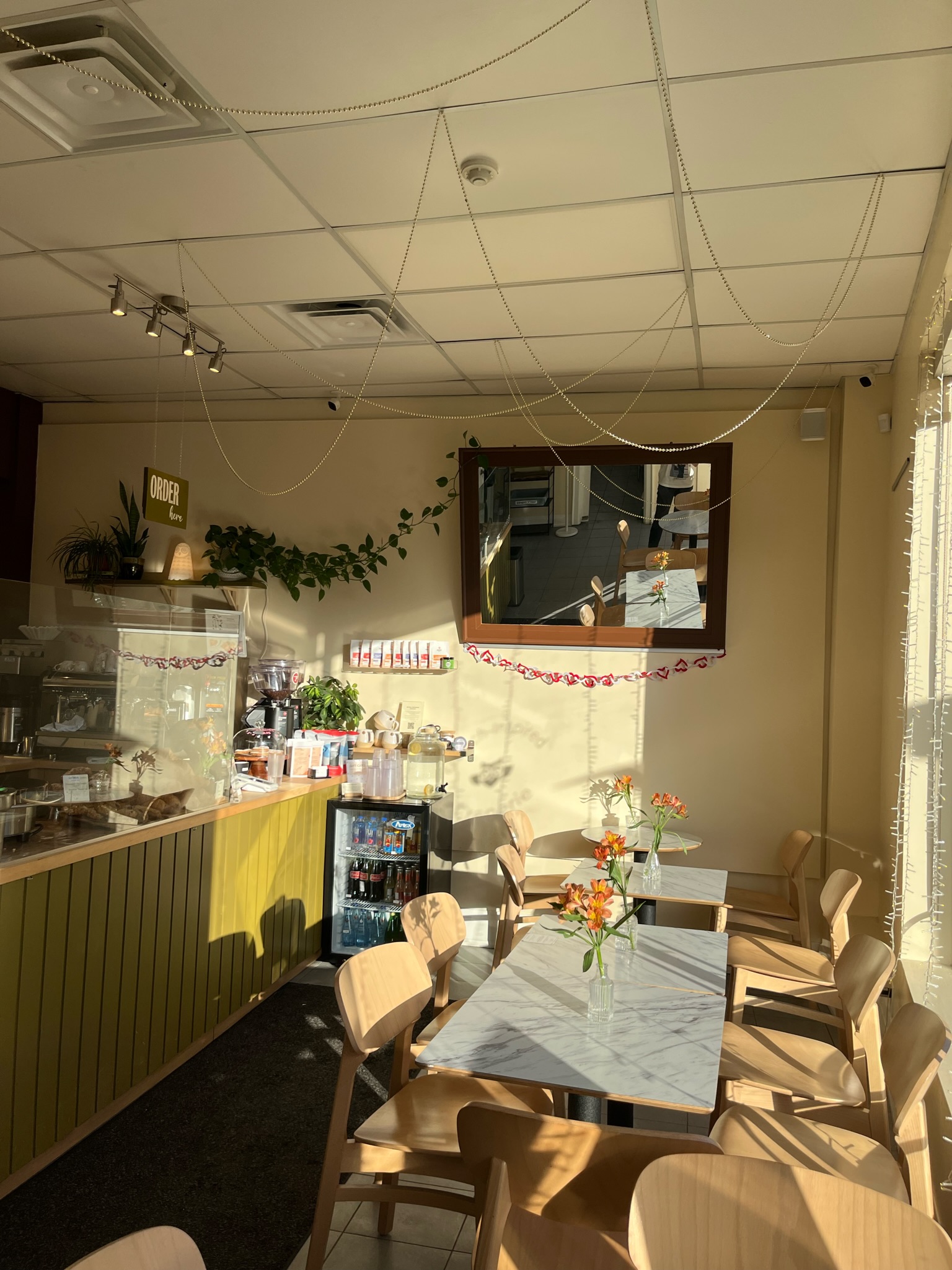 Toronto, ON M4N 2H7, Canada