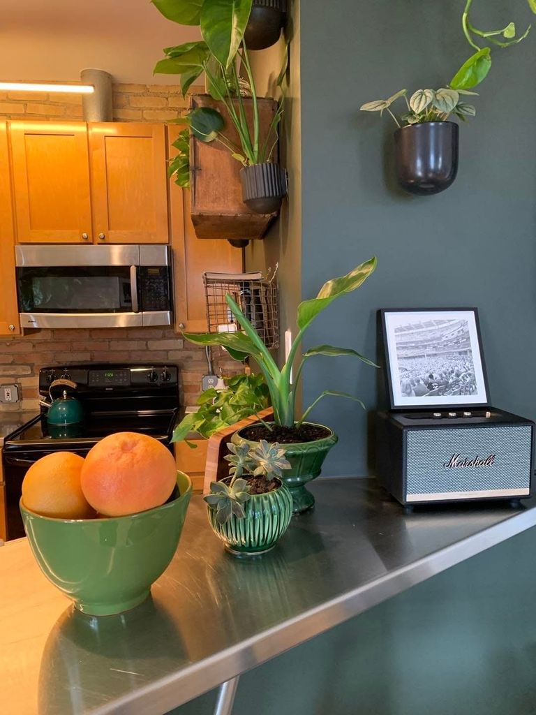 The 208 - Old Town Lofts, 208 East César E. Chávez Avenue, Lansing, MI 48906