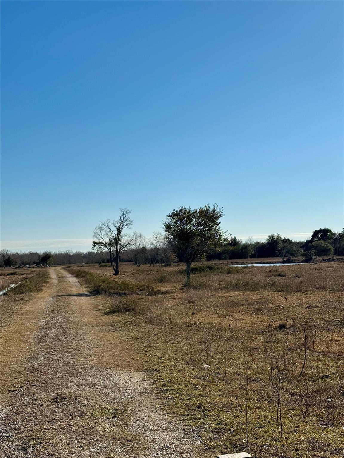 8500 Fm-2004, Hitchcock, Texas, 8500 Farm to Market 2004, Hitchcock, TX 77563