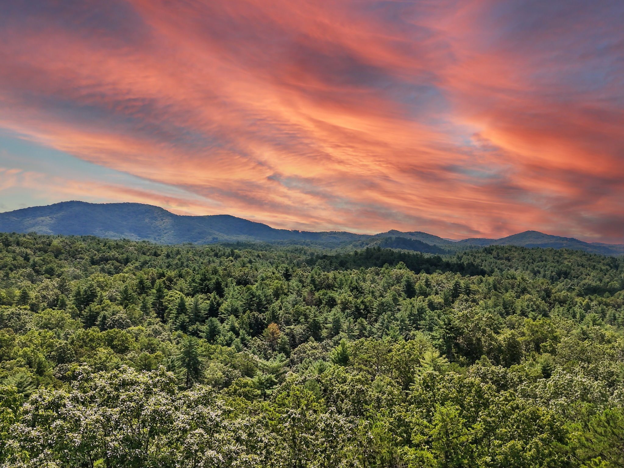 245 +/- Acres Gates Chapel Road, Gates Chapel Road, Ellijay, GA 30540