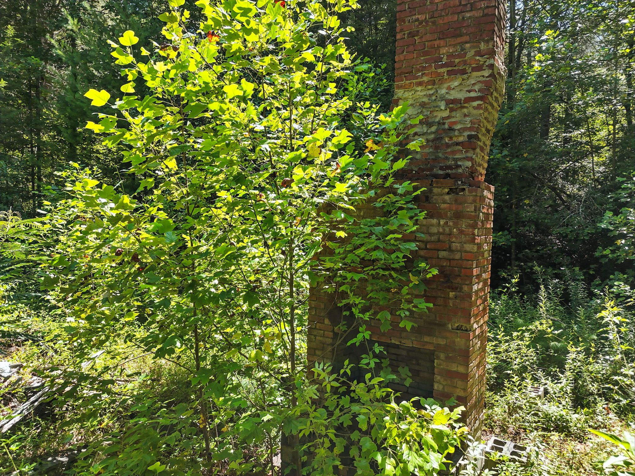 245 +/- Acres Gates Chapel Road, Gates Chapel Road, Ellijay, GA 30540