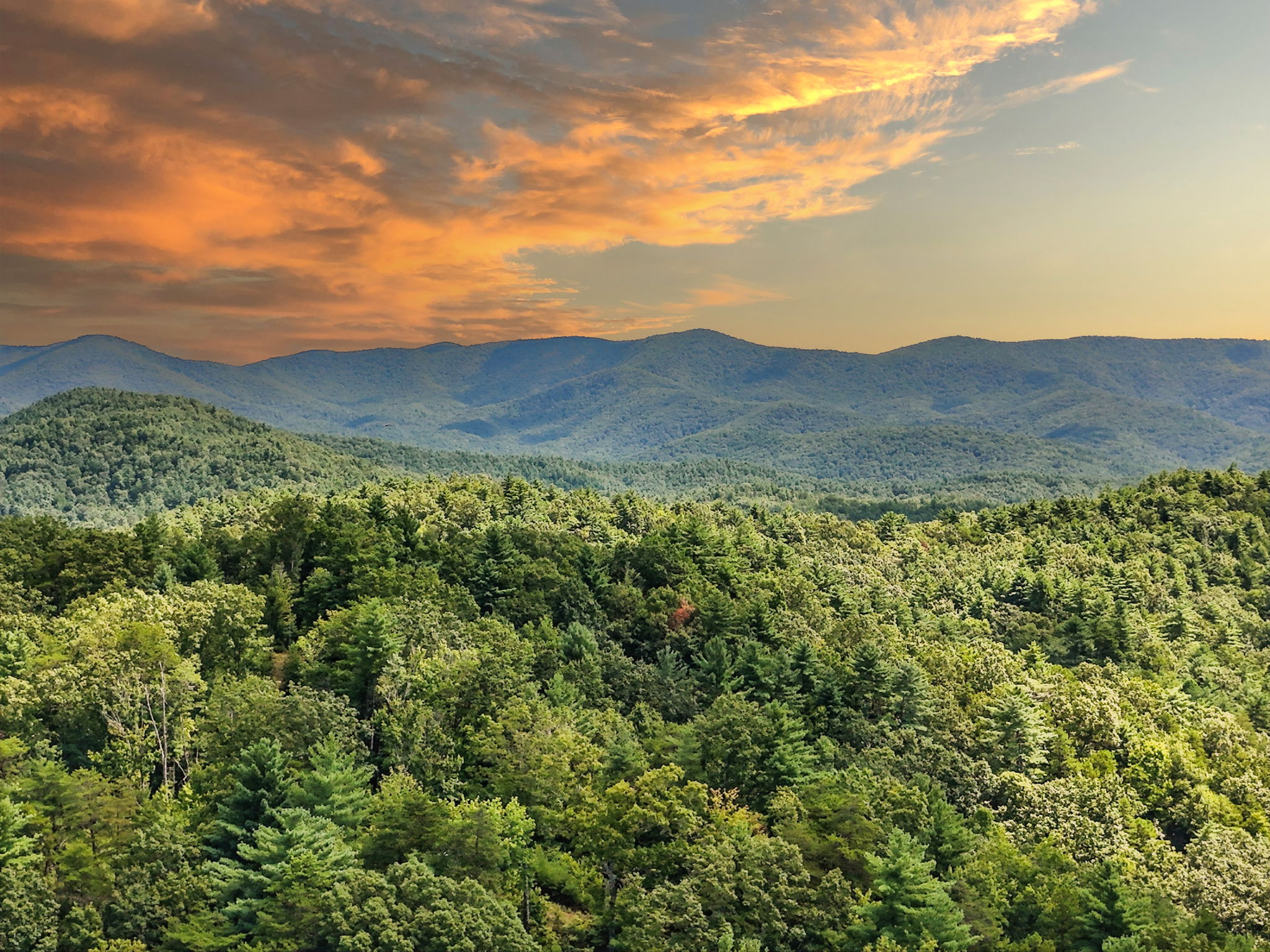 245 +/- Acres Gates Chapel Road, Gates Chapel Road, Ellijay, GA 30540