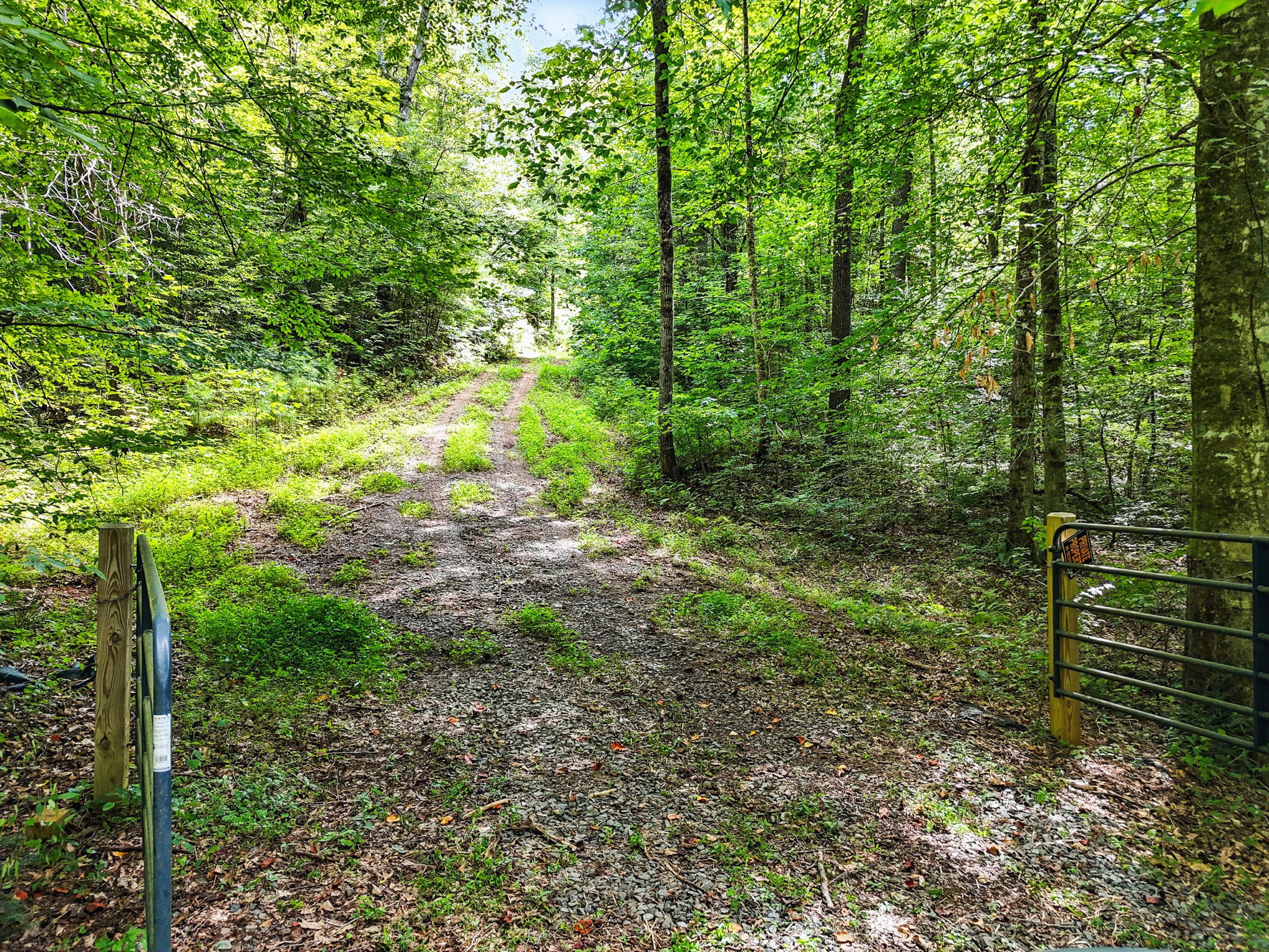 245 +/- Acres Gates Chapel Road, Gates Chapel Road, Ellijay, GA 30540