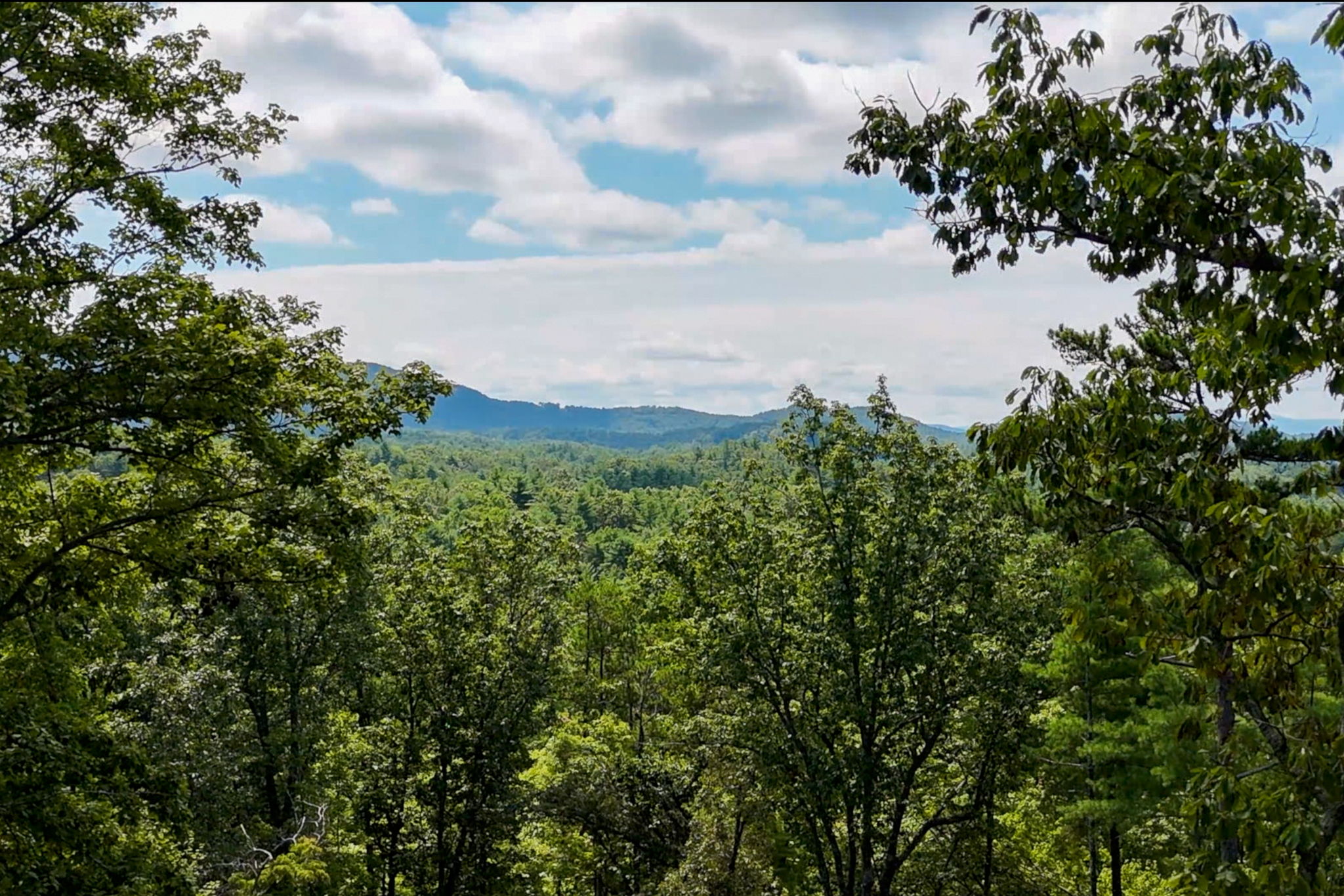 245 +/- Acres Gates Chapel Road, Gates Chapel Road, Ellijay, GA 30540