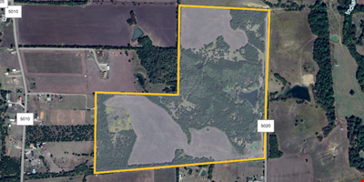 Fannin County 101.5 Acres