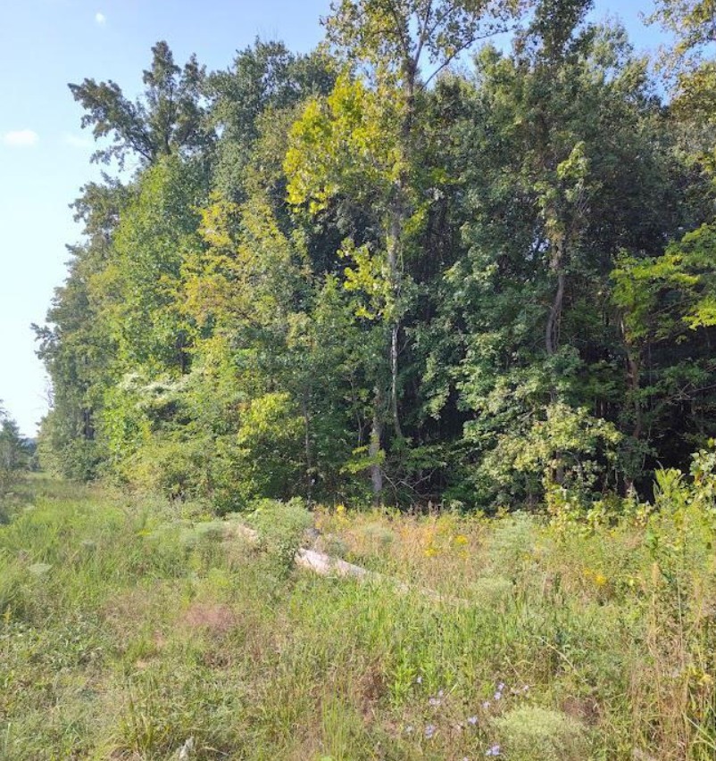 11250 Livingston Road, Fort Washington, MD 20744