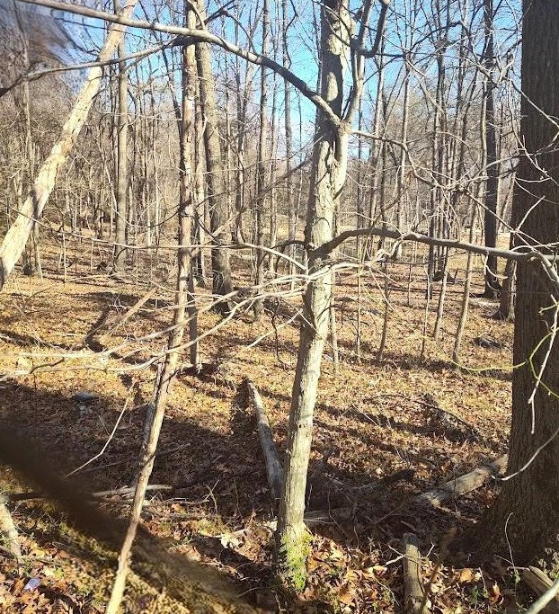 Saint Barnabas Road, Oxon Hill, MD