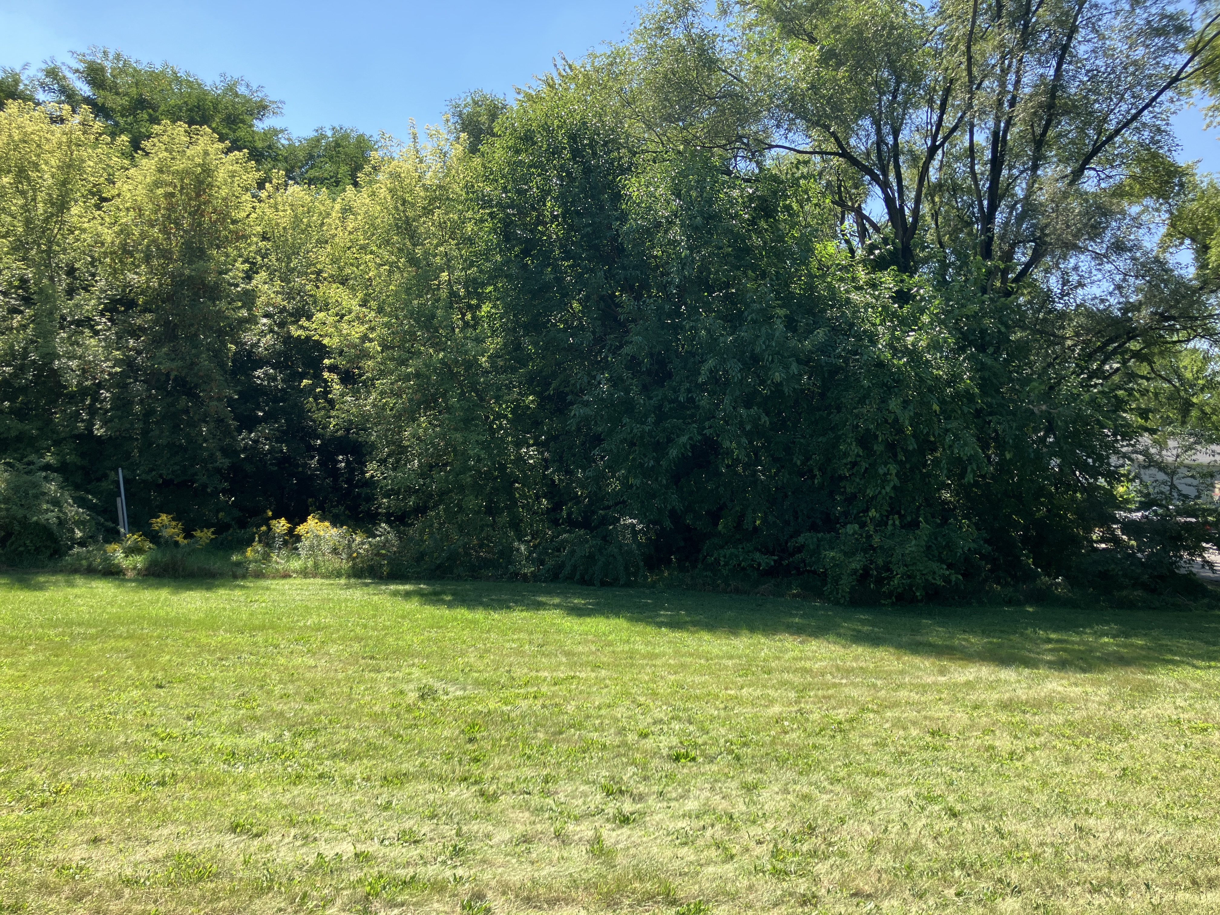 24W459 Lawrence Avenue, Roselle, IL 60172